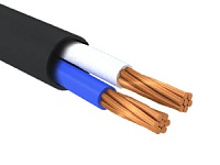 ВВГнг(А) 2х50,0 мк(N)-0,66 (Алюр)